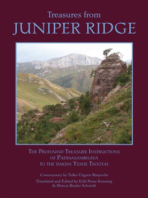 cover image of Treasures from Juniper Ridge